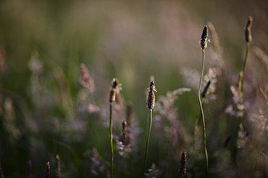 《流放之路2》天梯榜已上线 第一名已经刷到了88级